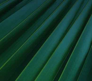 Find a doctor Banner Mobile