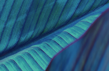 Privacy Page Mobile Image